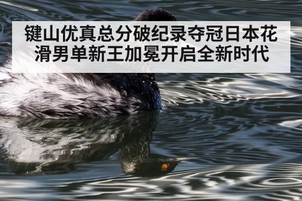 键山优真总分破纪录夺冠日本花滑男单新王加冕开启全新时代